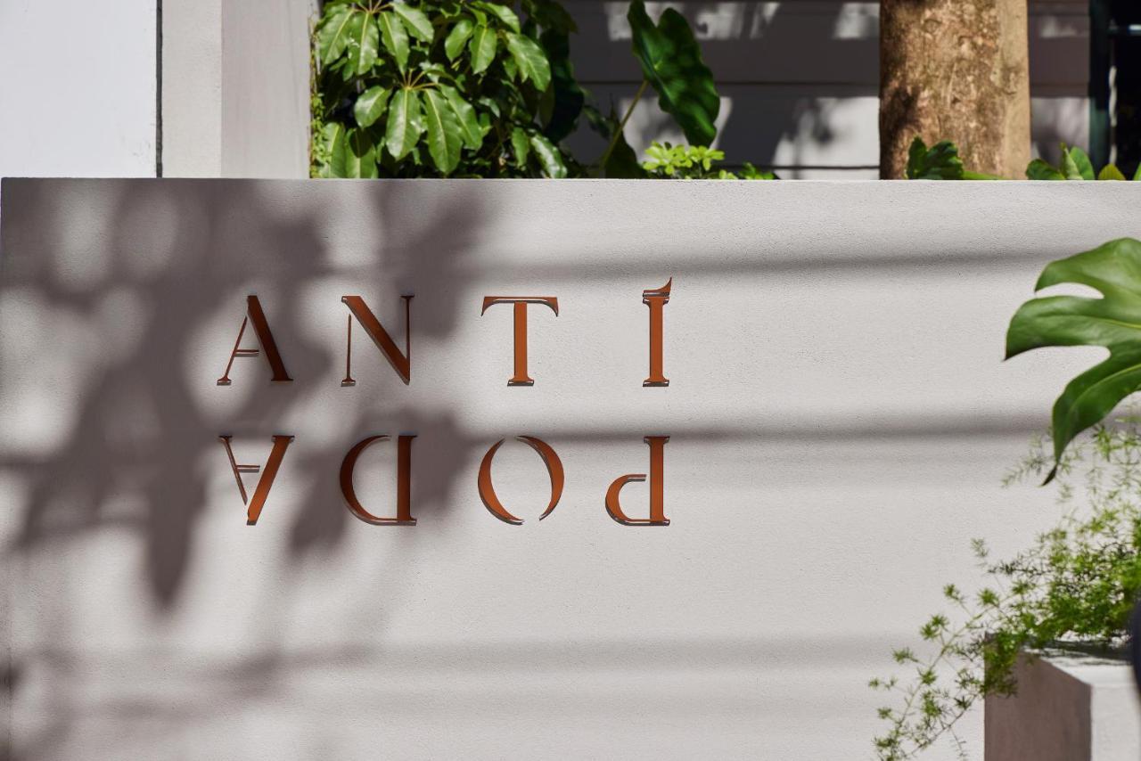 Antipoda Hotel Boutique ميديلين المظهر الخارجي الصورة