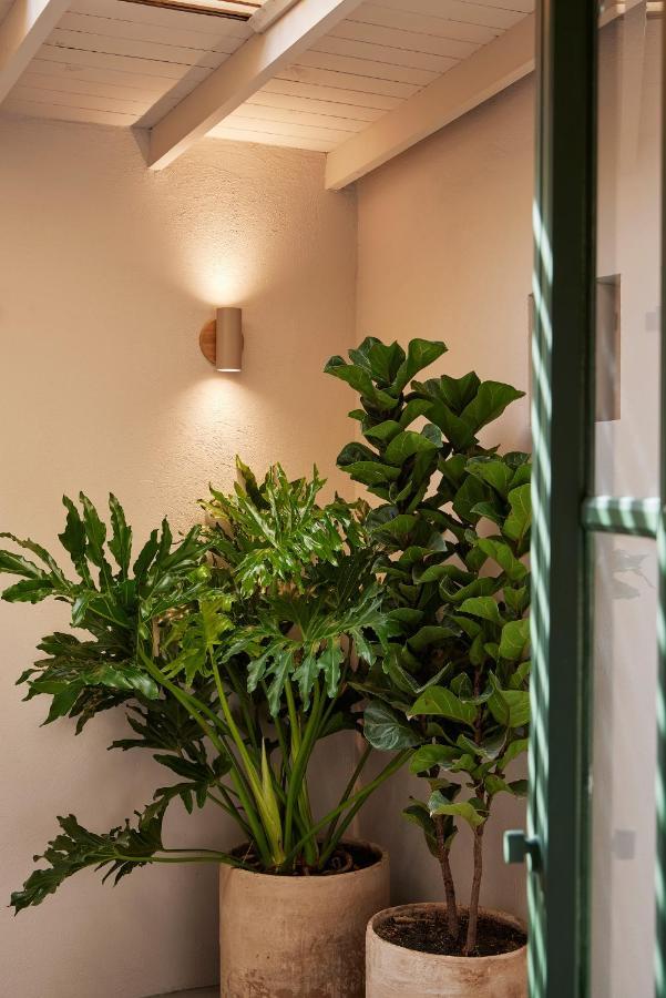 Antipoda Hotel Boutique ميديلين المظهر الخارجي الصورة
